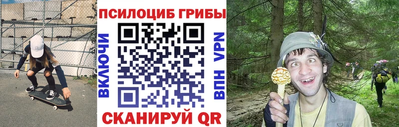 Псилоцибиновые грибы Psilocybine cubensis  Шебекино 